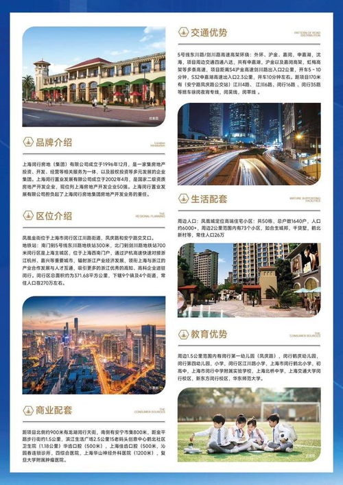 官方网站 上海闵行凤凰金街 凤凰金街餐饮旺铺 小面积低总价