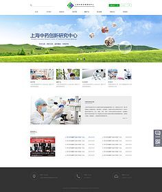 企业网页