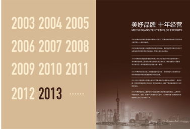 品牌策划,上海网站建设 私人定制